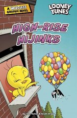 High-Rise Hijinks цена и информация | Книги для подростков и молодежи | kaup24.ee