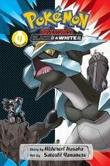 Pokemon Adventures: Black 2 & White 2, Vol. 4 hind ja info | Noortekirjandus | kaup24.ee