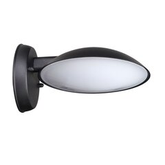 Настенный уличный светильник Italux Piombino 6691/BK-9 цена и информация | Уличное освещение | kaup24.ee