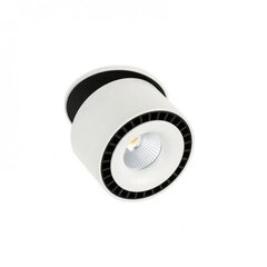 Süvistatav aktsentvalgusti Italux Sevilla SL7560/28W hind ja info | Süvistatavad ja LED valgustid | kaup24.ee