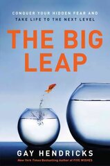 Big Leap: Conquer Your Hidden Fear and Take Life to the Next Level hind ja info | Eneseabiraamatud | kaup24.ee