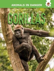 Gorillas цена и информация | Книги для подростков и молодежи | kaup24.ee