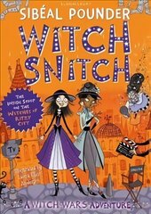Witch Snitch: The Inside Scoop on the Witches of Ritzy City hind ja info | Noortekirjandus | kaup24.ee