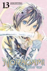 Noragami Volume 13, Vol. 13 hind ja info | Fantaasia, müstika | kaup24.ee