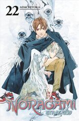 Noragami: Stray God 22 цена и информация | Фантастика, фэнтези | kaup24.ee