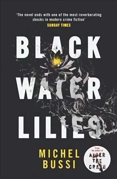 Black Water Lilies: 'A dazzling, unexpected and haunting masterpiece' Daily Mail цена и информация | Fantaasia, müstika | kaup24.ee