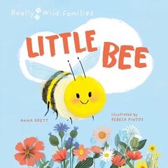 Little Bee: A Day in the Life of the Bee Brood цена и информация | Книги для подростков и молодежи | kaup24.ee