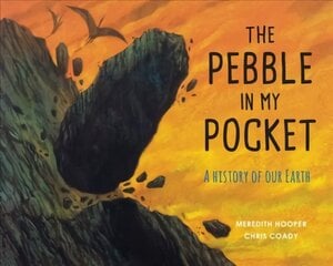 Pebble in My Pocket: A History of Our Earth Revised Edition цена и информация | Книги для подростков и молодежи | kaup24.ee