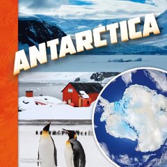 Antarctica hind ja info | Noortekirjandus | kaup24.ee