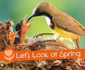 Let's Look at Spring: A 4D Book hind ja info | Noortekirjandus | kaup24.ee