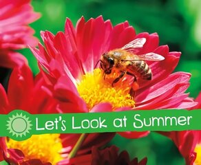 Let's Look at Summer: A 4D Book hind ja info | Noortekirjandus | kaup24.ee