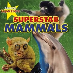 Mammal Superstars hind ja info | Noortekirjandus | kaup24.ee