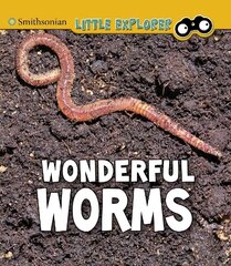 Wonderful Worms hind ja info | Noortekirjandus | kaup24.ee