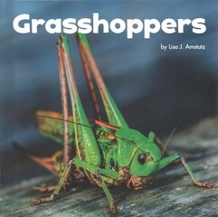 Grasshoppers hind ja info | Noortekirjandus | kaup24.ee