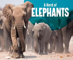 Herd of Elephants цена и информация | Книги для подростков и молодежи | kaup24.ee