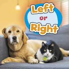 Left or Right цена и информация | Книги для подростков и молодежи | kaup24.ee