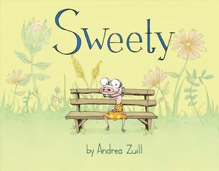 Sweety hind ja info | Noortekirjandus | kaup24.ee