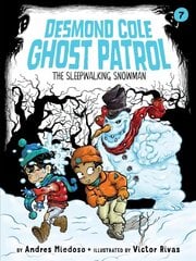 Sleepwalking Snowman hind ja info | Noortekirjandus | kaup24.ee