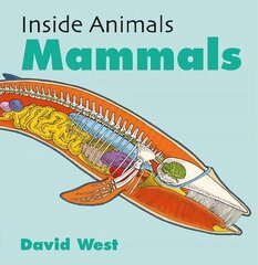 Inside Animals: Mammals цена и информация | Книги для подростков и молодежи | kaup24.ee