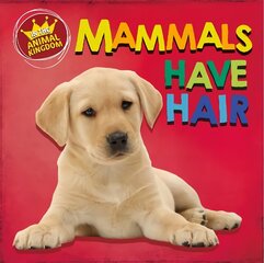 In the Animal Kingdom: Mammals Have Hair Illustrated edition hind ja info | Noortekirjandus | kaup24.ee