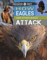 Predator vs Prey: How Eagles and other Birds Attack Illustrated edition цена и информация | Книги для подростков и молодежи | kaup24.ee