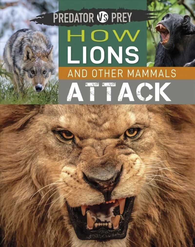 Predator vs Prey: How Lions and other Mammals Attack Illustrated edition hind ja info | Noortekirjandus | kaup24.ee