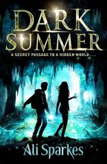 Dark Summer цена и информация | Книги для подростков и молодежи | kaup24.ee