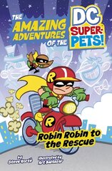 Robin Robin to the Rescue цена и информация | Книги для подростков и молодежи | kaup24.ee