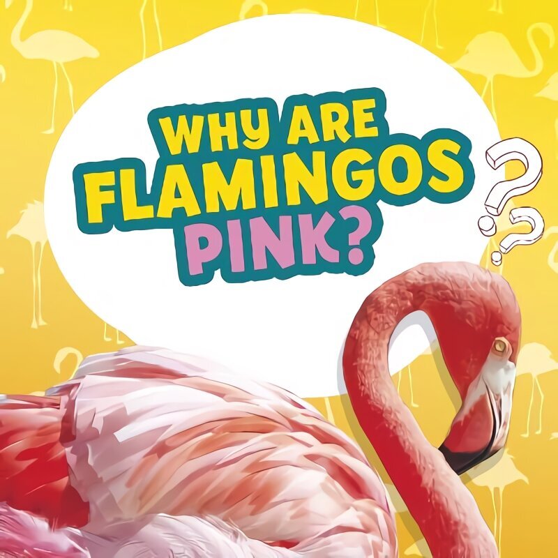 Why Are Flamingos Pink? цена и информация | Noortekirjandus | kaup24.ee