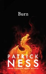 Burn цена и информация | Книги для подростков и молодежи | kaup24.ee