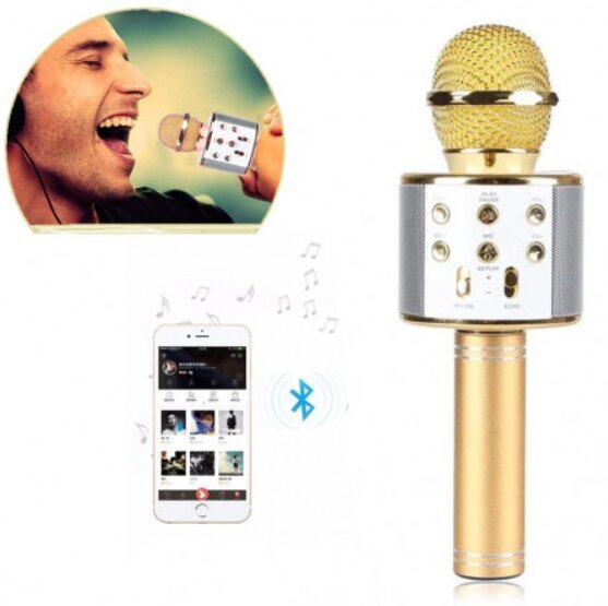 WS-858 juhtmevaba karaoke mikrofon- Bluetooth käsikõlar, kuldne цена и информация | Mikrofonid | kaup24.ee