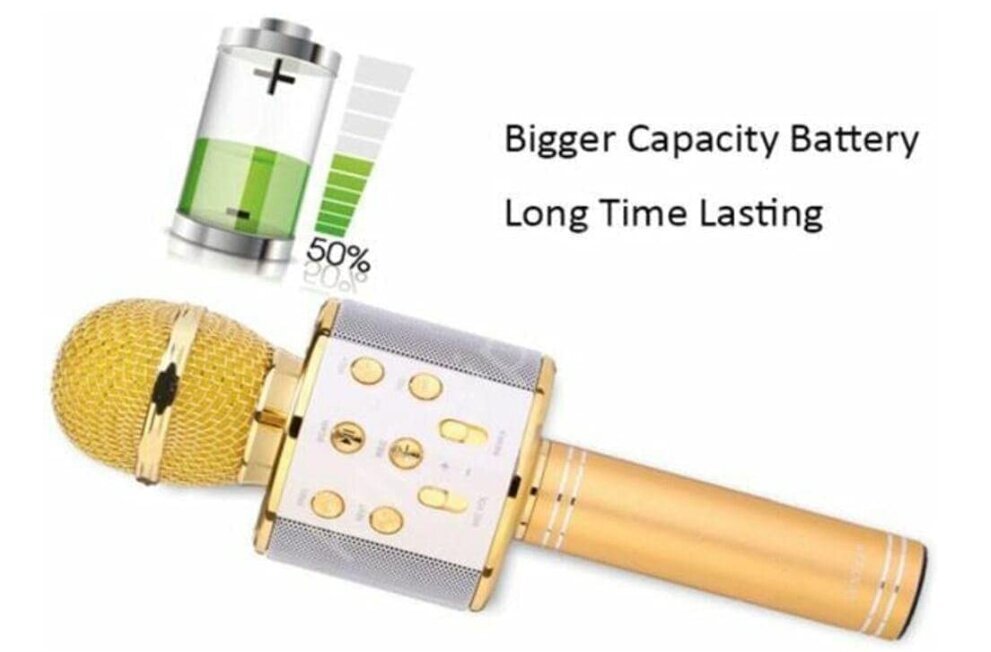 WS-858 juhtmevaba karaoke mikrofon- Bluetooth käsikõlar, kuldne цена и информация | Mikrofonid | kaup24.ee