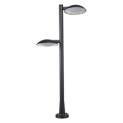 Отдельностоящий уличный светильник Italux Piombino 66950-2/BK-9 цена и информация | Уличное освещение | kaup24.ee
