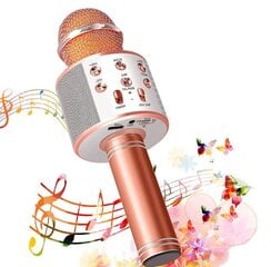 WS-858 Беспроводной караоке-микрофон-Bluetooth ручной динамик, розовое золото цена и информация | Микрофоны | kaup24.ee
