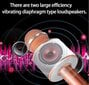 WS-858 juhtmevaba karaoke mikrofon-Bluetooth ​​käeshoitav kõlar, roosa kuldne hind ja info | Mikrofonid | kaup24.ee