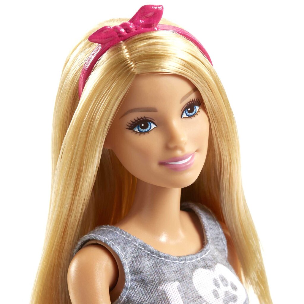 Barbie® lemmikloomakomplekt FPR48 hind ja info | Tüdrukute mänguasjad | kaup24.ee