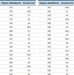 Rulluisud Zetrablade W vaba aja veetmise rulluisud 36,5, must цена и информация | Ролики | kaup24.ee