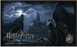 Pusle Harry Potter Dementors at Hogwarts, 1000 tk. цена и информация | Pusled | kaup24.ee