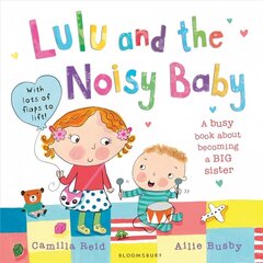 Lulu and the Noisy Baby цена и информация | Книги для малышей | kaup24.ee