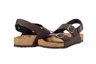 Inblu sandaalid, pruun, 91396 hind ja info | Meeste plätud, sussid | kaup24.ee