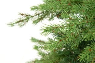 Елка искусственная PREMIUM, 60 см цена и информация | Новогодние елки | kaup24.ee