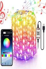 200 LED светодиодная гирлянда, 20м, USB Bluetooth цена и информация | Новогодняя гирлянда Holiday, 10 светодиодов, 30 см | kaup24.ee