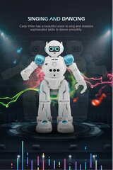 Humanoid Sense induktsioon RC robot цена и информация | Развивающие игрушки | kaup24.ee