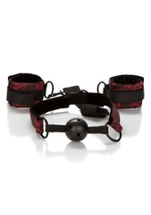 Suupall Scandal Ball Gag with Cuffs hind ja info | BDSM ja fetish | kaup24.ee