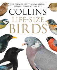 Collins Life-Size Birds: The Only Guide to Show British Birds at Their Actual Size hind ja info | Tervislik eluviis ja toitumine | kaup24.ee