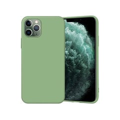 Силиконовый чехол для iPhone 11 Pro Max (6,5″) — Mint цена и информация | Чехлы для телефонов | kaup24.ee