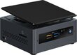Intel NUC BOXNUC7CJYH PC/workstation barebone UCFF Black BGA 1090 J4005 2 GHz цена и информация | Lauaarvutid | kaup24.ee