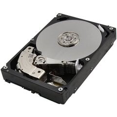 Жесткий диск Toshiba Europe MG06ACA10TE цена и информация | Внутренние жёсткие диски (HDD, SSD, Hybrid) | kaup24.ee