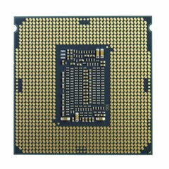 Intel Protsessor Xeon E-2224 BOX BX80684E2224 hind ja info | Protsessorid (CPU) | kaup24.ee