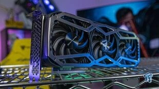 Gainward GeForce RTX 3070 Phoenix 8GB цена и информация | Видеокарты | kaup24.ee